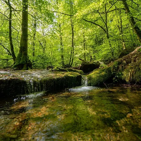 Fontaine * Le Soulié